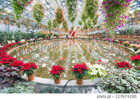 なばなの里【クリスマス仕様のベゴニアガーデン】 なばなの里【クリスマス仕様のベゴニアガーデン】 117674100