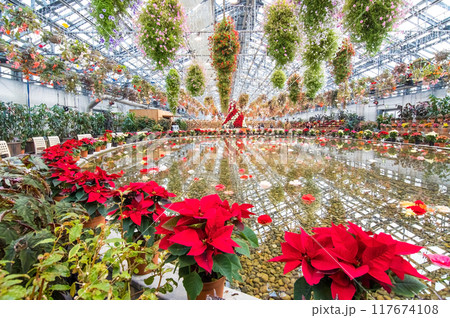 なばなの里【クリスマス仕様のベゴニアガーデン】 117674108