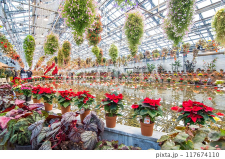 なばなの里【クリスマス仕様のベゴニアガーデン】 なばなの里【クリスマス仕様のベゴニアガーデン】 117674110