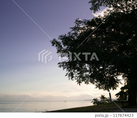 琵琶湖あのベンチ 琵琶湖あのベンチ 117674423