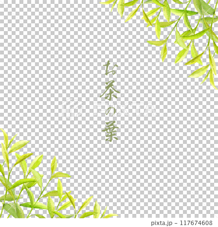 茶葉框架畫水彩 117674608