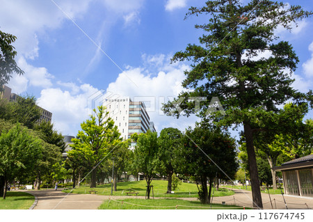 中野四季の森公園と帝京平成大学 中野四季の森公園と帝京平成大学 117674745