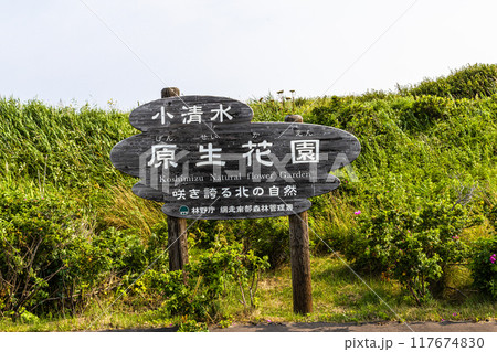 【北海道_小清水原生花園】網走国定公園 小清水原生花園 【北海道_小清水原生花園】網走国定公園 小清水原生花園 117674830