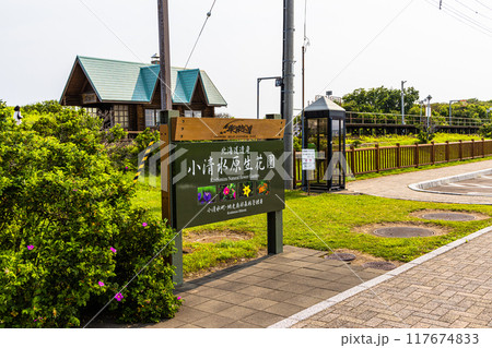 【北海道_小清水原生花園】網走国定公園 小清水原生花園 117674833