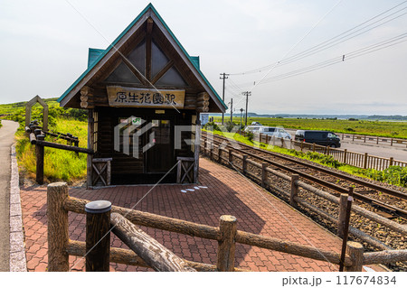 【北海道_小清水原生花園】網走国定公園 小清水原生花園 117674834
