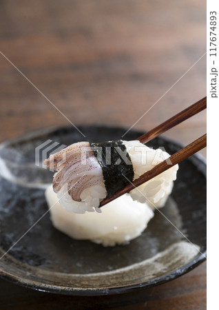 イカの握り寿司　三貫 117674893