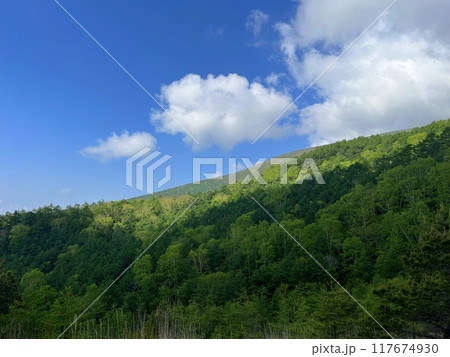 登山道から見る山の景色 117674930
