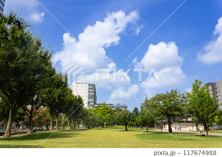 中野四季の森公園 117674988