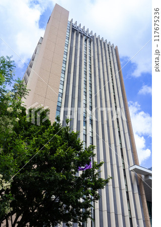 明治大学中野キャンパス 117675236