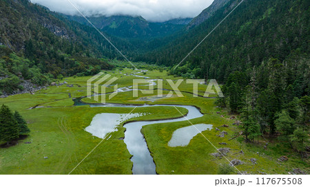 Beautiful high altitude forest wetland landscape Beautiful high altitude forest wetland landscape 117675508