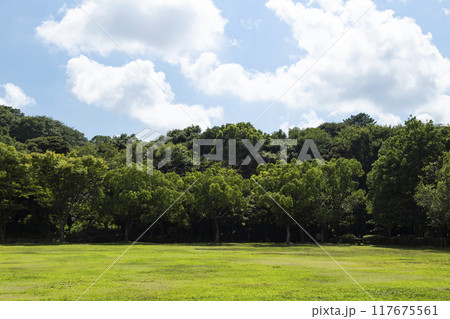 夏の浜松城公園 117675561