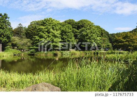 神奈川県横浜市金沢区称名寺・稱名寺の夏 117675733