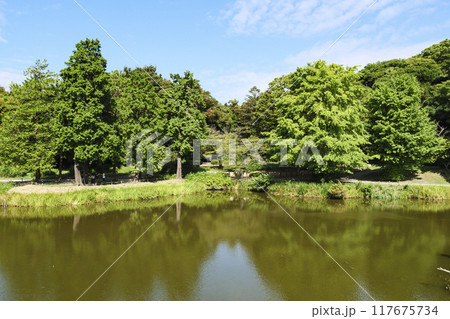 神奈川県横浜市金沢区称名寺・稱名寺の夏 117675734