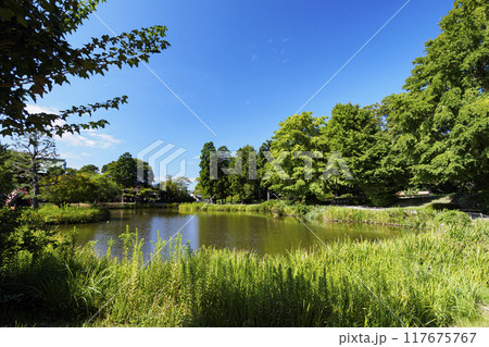 神奈川県横浜市金沢区称名寺・稱名寺の夏 神奈川県横浜市金沢区称名寺・稱名寺の夏 117675767