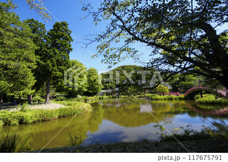 神奈川県横浜市金沢区称名寺・稱名寺の夏 117675791