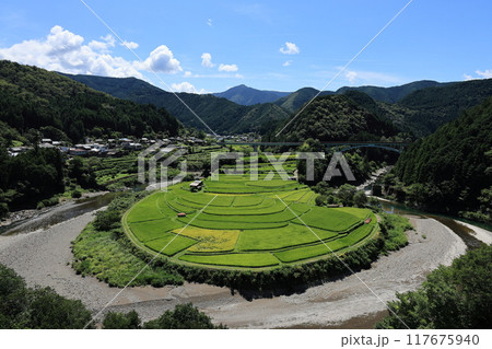 あらぎ島(和歌山県有田川町) あらぎ島(和歌山県有田川町) 117675940