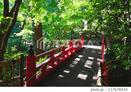 椿山荘の景色 117676035