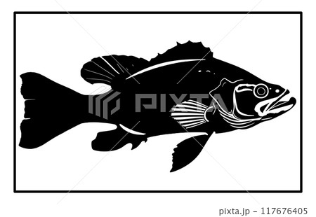 River Haddock fish silhouette. Fish Haddock Hand drawn illustration , River Haddock 117676405