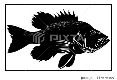 River Haddock fish silhouette. Fish Haddock Hand drawn illustration , River Haddock 117676409