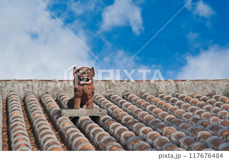 屋上のシーサー 117676484