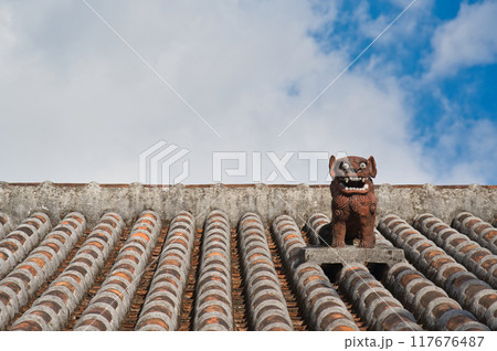 屋上のシーサー 屋上のシーサー 117676487