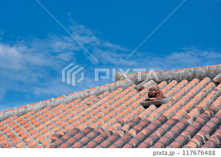 屋上のシーサー 屋上のシーサー 117676488