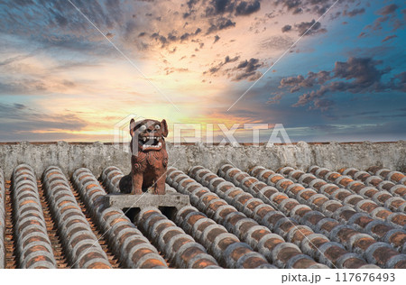 屋上のシーサー 117676493