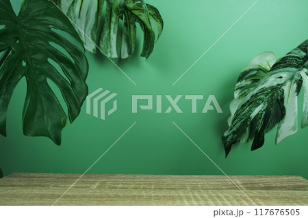 Wooden podium display scene stage showcase front view with copy space and monstera leaves decoration on green background 117676505