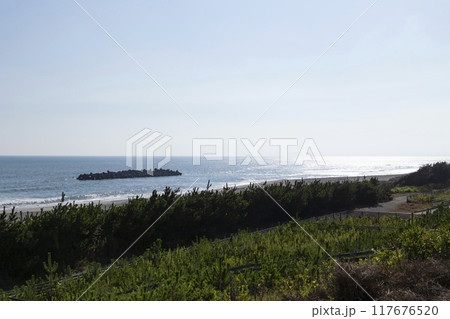 中田島砂丘の水平線 117676520
