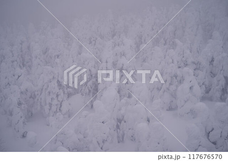 山形県 蔵王ロープウェイからの蔵王の樹氷 山形県 蔵王ロープウェイからの蔵王の樹氷 117676570