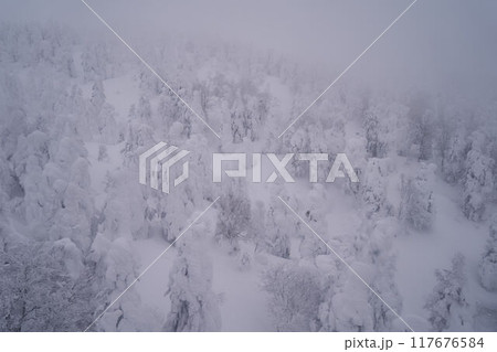 山形県　蔵王ロープウェイからの蔵王の樹氷 117676584