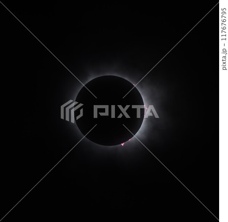 2024年4月8日 皆既日食・コロナとプロミネンス② 2024年4月8日 皆既日食・コロナとプロミネンス② 117676795