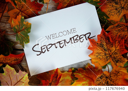 Welcome September text with maple leaf decoration top view on wooden background 117676940