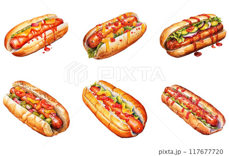 Hot Dog Png Illustration Set 117677720