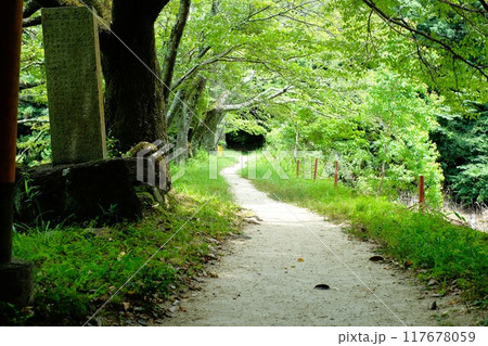 奈良桜井市の八大龍王弁財天大神 龗神神社の参道 奈良桜井市の八大龍王弁財天大神 龗神神社の参道 117678059