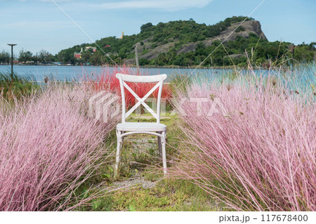 White chair with colorful pink and red grass of cafe garden 117678400