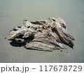 歴史を秘めて 117678729