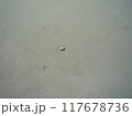 かわいいでしょ？ 117678736