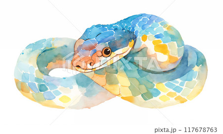 蛇の水彩イラストのイラスト素材 [117678763] - PIXTA
