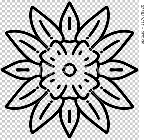 flowers flowers 117678820