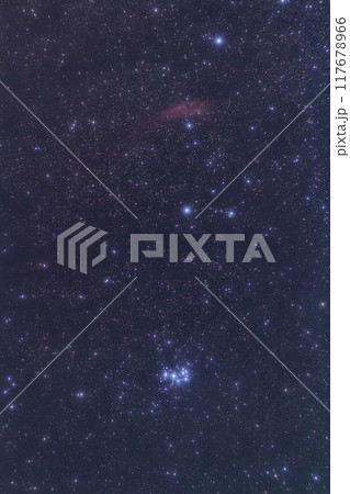 カリフォルニア星雲とプレアデス星団 117678966