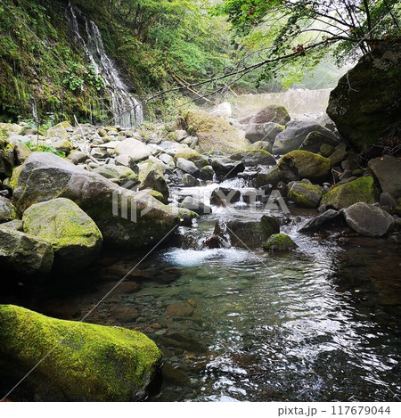 美し森山 滝 美し森山 滝 117679044