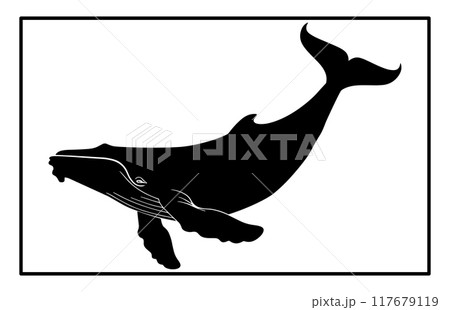 Whale Silhouette, Ocean Majesty Whale Silhouette Whale Silhouette, Ocean Majesty Whale Silhouette 117679119