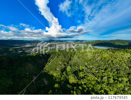 Aerial view drone shot of Mountains Forest trees nature environment background 117679585