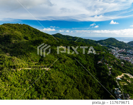 Aerial view drone shot of Mountains Forest trees nature environment background 117679671