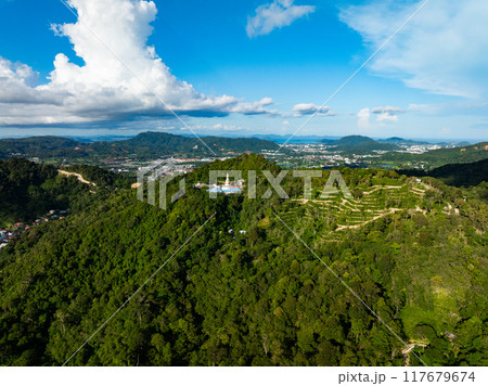 Aerial view drone shot of Mountains Forest trees nature environment background 117679674