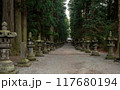 長く続く石灯籠の小径 117680194