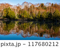 湖面のシンメトリーが美しい秋のダケカンバ 117680212