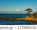 青い海と冠雪した富士山 117680216