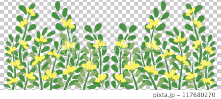 yellow flowers border 117680270